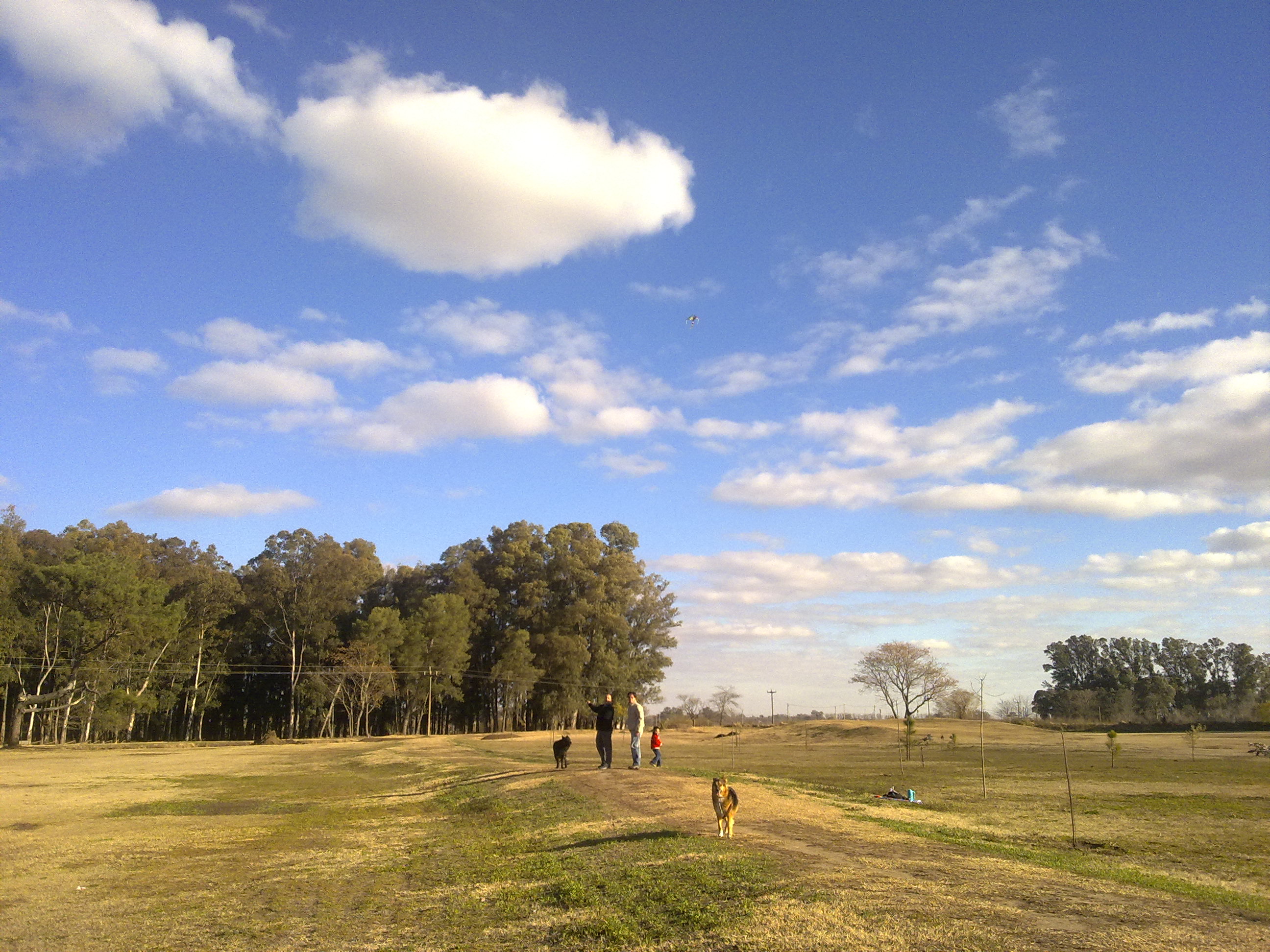 fotos/2010-08-15 - Barrileteada/15082010554.jpg